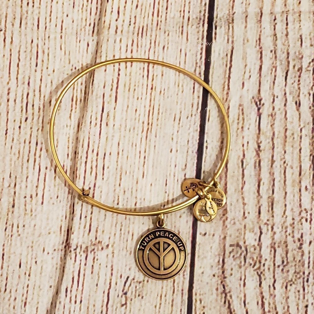 3 for $25 Alex and Ani Turn Peace Up Adjustable Bangle - Picture 3 of 6